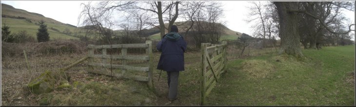 The gate on to the lane used as part of the St. Cuthbert's Way long distance path
