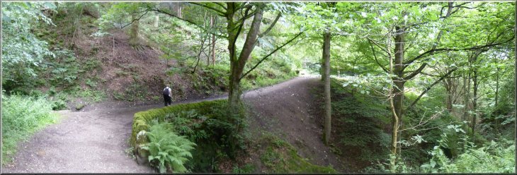 Path through the Chevin forest to Danefield Gate