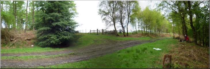 The edge of the forest near Baxton's farm