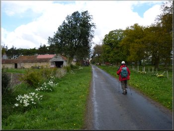 Walking along the road to Baxton's farm