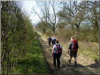 Following the track down to Barton-le-Willows