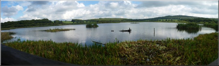 View over Leighton Moss from the public hide