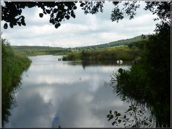 Lake at Leighton Moss