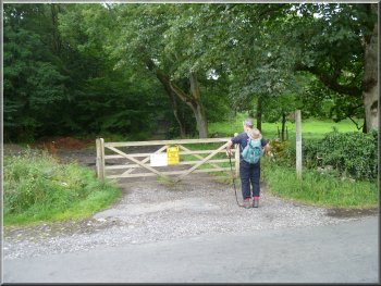 Start of the path to Grisedale wood