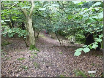 Woodland path around Hawes Water 