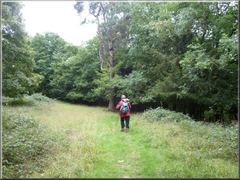 Woodland path around Hawes water