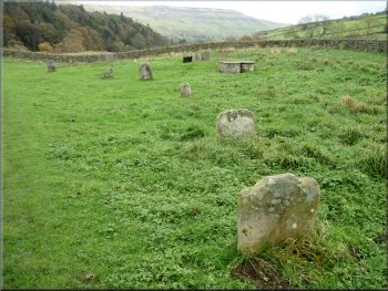 Graves in some rough pasture at Arkle Town
