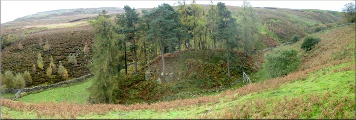 A rocky mound in Fore Gill