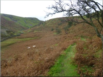 Following the path up Fore Gill