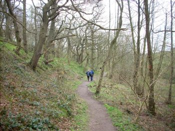 The path through Hetchell woods