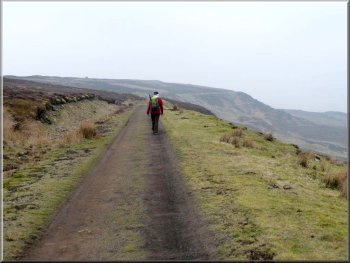 Track bed of the Rosedale Railway
