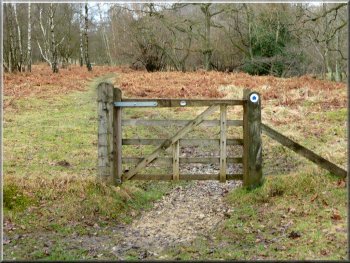 Waymarked gate on our left leading to Cowhouse Beck