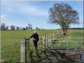 Taking the left of two gates across the fields to East Moors