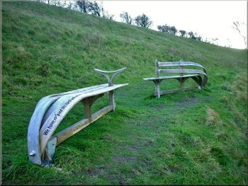 New inscribed seats on upper slope of Horse Dale