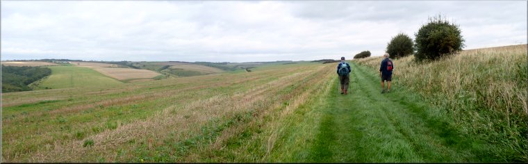 The Yorkshire Wolds Way above Millington Dale