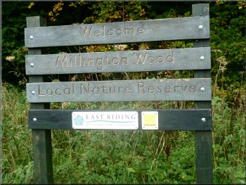 The entrance to Millington Wood