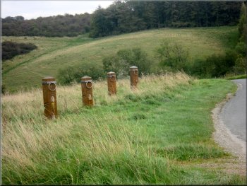 Oak sculpture posts by the road side