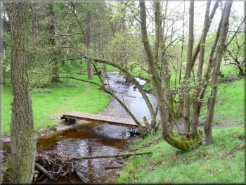A series of footbridges and duckboards in Thorn Dale