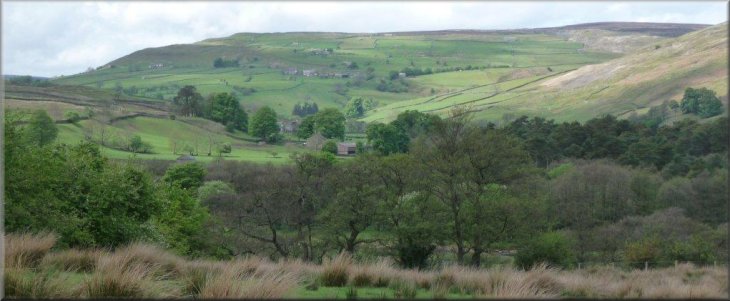 View up Arkengarthdale towards the end of the walk