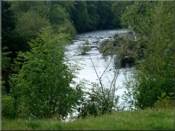 River Ure near West Tanfield