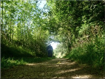 Track along the edge of Fiveponds Wood