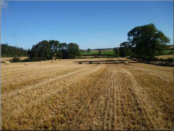The harvested field with no visible path
