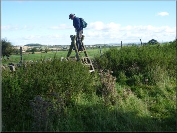 Crossing the tall ladder stile