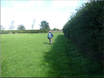 Following the hedge to the road