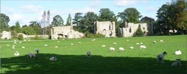 The ruins of Jervaulx Abbey seen from the track across Jervaulx Park