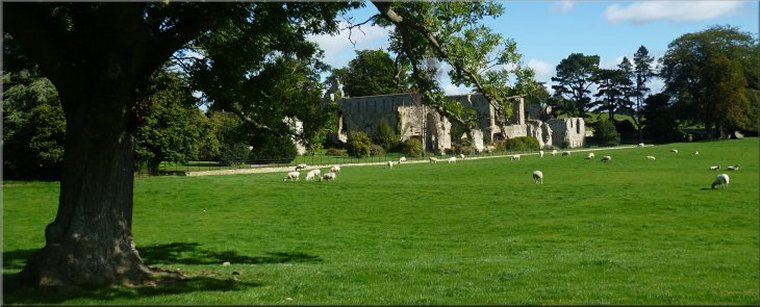 Our approach to the ruins of Jervaulx Abbey