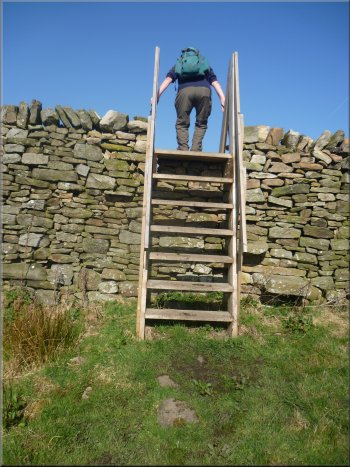 Tall ladder stile to reach the ruined farmstead