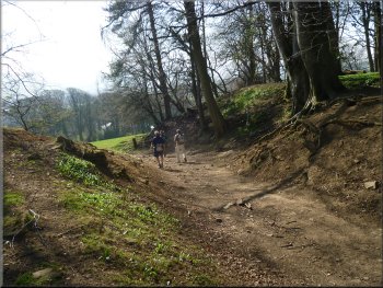 The track towards Wolsingham from Baal Hill Ho farm