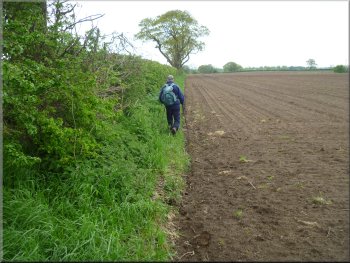 Our path along the edge of a recently sown field