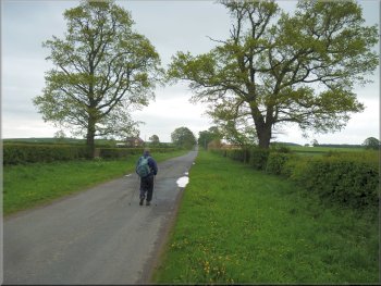 Walking along the road over 'Myton Moor'