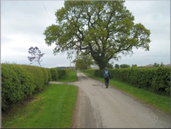 The access road to The Haddocks, Myton Hall farms