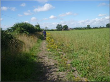 Path along the field edge to Springfield Farm 
