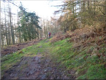 The bridleway continuing to contour round the hillside