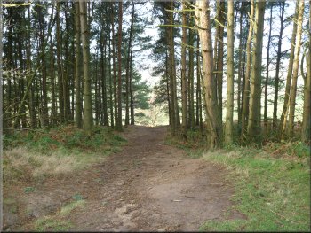 Looking back down the first part of the climb to Easby Moor