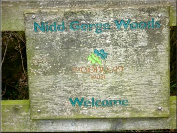 Woodland Trust sign as we entered the wood
