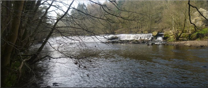 The wier at Scotton Mill