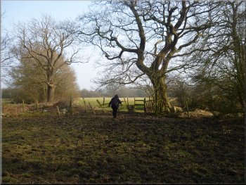 Path across the fields from Longlands farm
