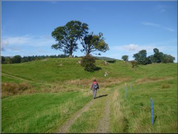 Path across the fields heading for Blelham Tarn