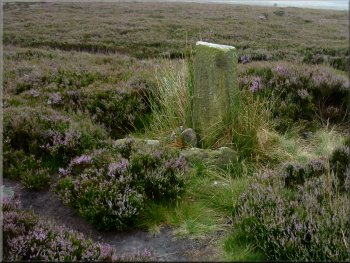 Boundary stone by the path