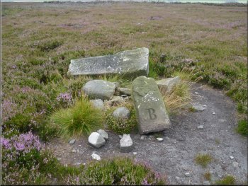 Boundary stone by the path