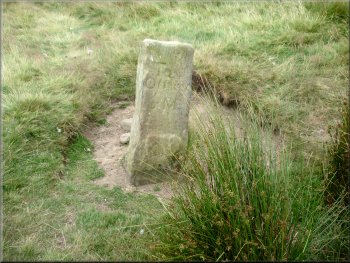 The old mile post on the track along Long Ridge