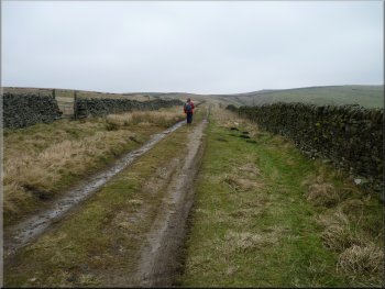 Following the 'Forest Road' up to Eller Edge Nook