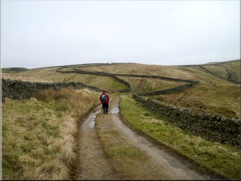 Approaching Eller Edge Nook along the 'Forest Road'