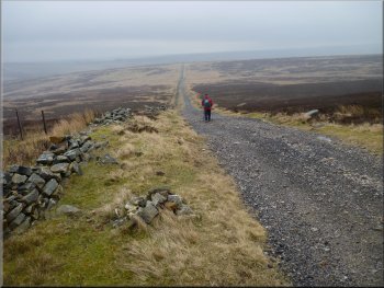 Long straight track leading out out from Harden Gill to the road