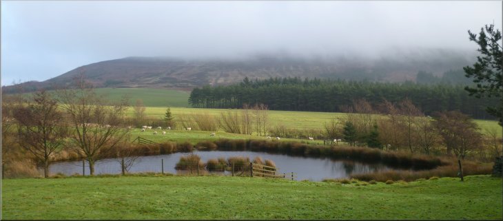 View across the pond near Thwaites House to Cringle Moor, still hidden in low cloud