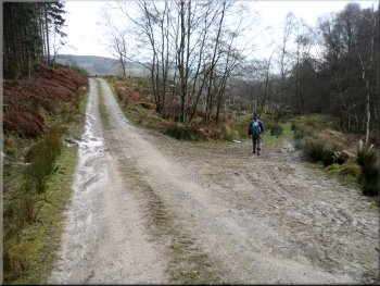 Turning off the forest road to a muddy path to Raisdale Mill